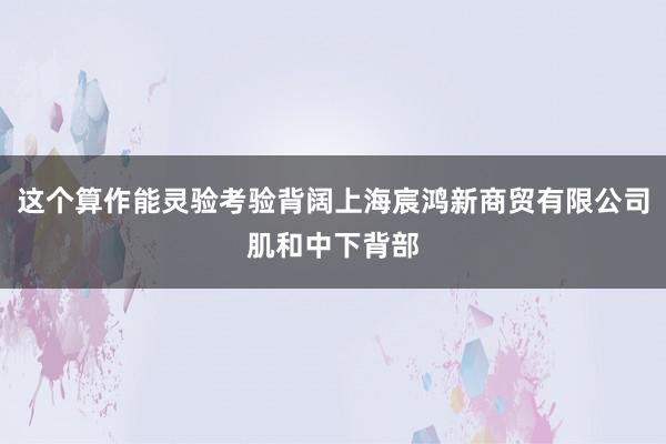 这个算作能灵验考验背阔上海宸鸿新商贸有限公司肌和中下背部