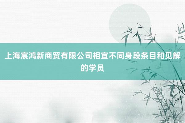 上海宸鸿新商贸有限公司相宜不同身段条目和见解的学员